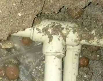 陆河测漏水多少钱