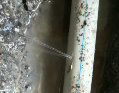 陆河测漏水哪家好