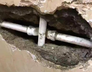 陆河测漏水哪家好