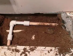 陆河测漏水哪家好