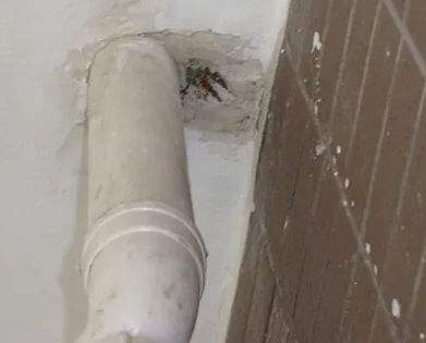 陆河漏水检测哪家好